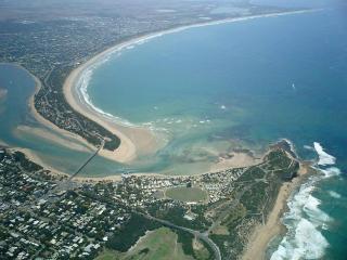 Modern Spacious Coastal Villa - Ocean Grove - 3