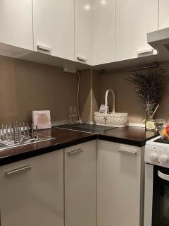 Elegant apt with great city view - Vračar (historical) - 4