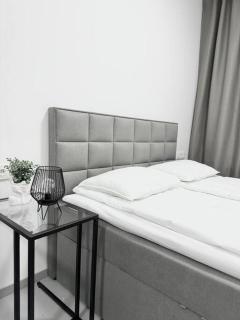 NEW Modern Large Apartment in New Town 3BDR - Prague - 7