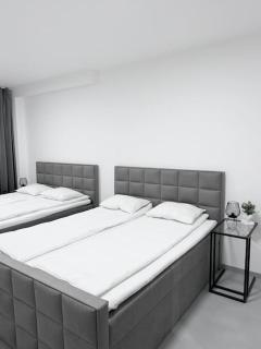 NEW Modern Large Apartment in New Town 3BDR - Prague - 5