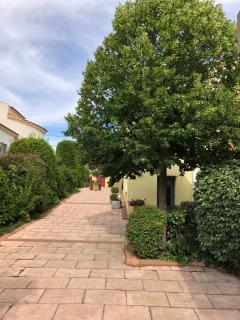 Coté Notre Dame des Marins Appartement T3 (80 m2) avec Grande Terrasse - Martigues - 5