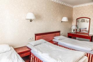 Royal Hotel and SPA Geneva - Truskavets - 4