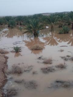 النخلة - Erfoud - 7