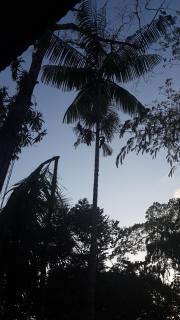 Los Delfines Lodge - 4
