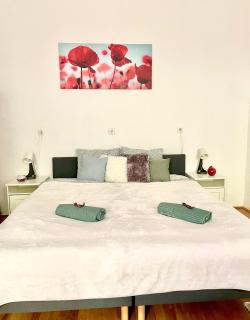 VERY WARM HOME with Big Bed near New York Café - Budapest - 0