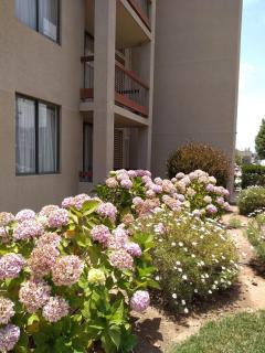 Departamento 2 dormitorios para 4 personas sector Puerta del Mar - 1