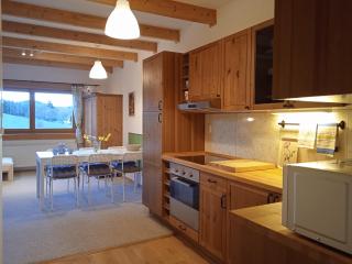 Srub Javorná - apartmány Šumava - Javorná - 7