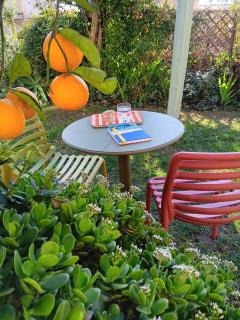Il Giardino Di Tatiana Rooms & Breakfast - La Maddalena - 8