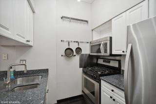 Brilliant Downtown Chicago 3-Bedroom Condominium - Chicago - 2