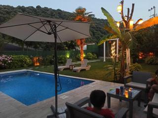 Muhafazakar,havuzlu,müstakil bahçeli Villa 12-16 Kişilik - Sakarya - 4