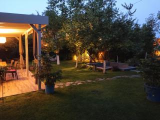 Muhafazakar,havuzlu,müstakil bahçeli Villa 12-16 Kişilik - Sakarya - 5