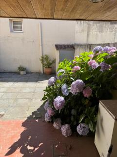 Casa tipo duplex en Mar del plata-mínimo 4 noches - Mar del Plata - 9