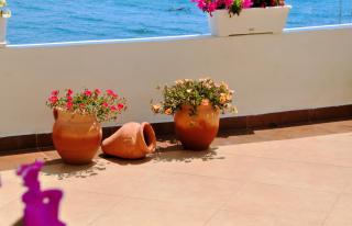 Pontino Apartments - Ulcinj - 7