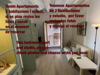 Cal Mestre- Olot - 1