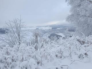 Pension Hubertus - Winterberg - 1