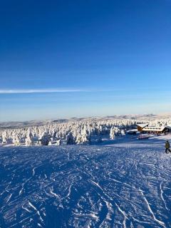 Fristad Nature House - Torsby - 7