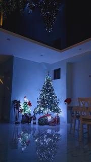 Orophile guest house - Gorists'ikhe - 5