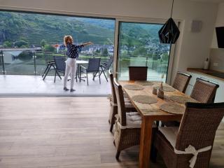 MV Römervilla, Lofts & Penthouses mit traumhaftem Moselpanoramablick und Sauna - Treis-Karden - 5