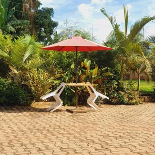 Ambur Gardens Gayaza - Kampala - 0
