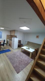 Kopaonik Apartman Aleksandar - Kopaonik - 9