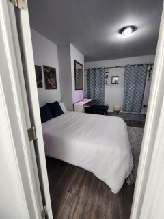 Serene Oasis Suite with private bathroom - Newark - 4