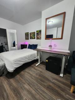 Serene Oasis Suite with private bathroom - Newark - 5