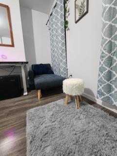 Serene Oasis Suite with private bathroom - Newark - 1