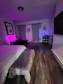 Serene Oasis Suite with private bathroom - Newark - 3