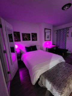 Serene Oasis Suite with private bathroom - Newark - 2