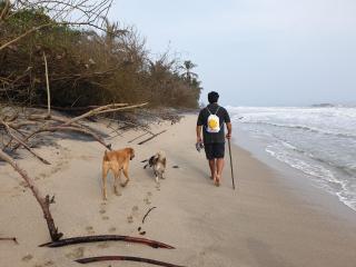 Bella Flor Hostel Palomino - 9