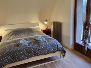Maison de vacances au cœur du parc de la Brenne avec étang privé, Wi-Fi et animaux acceptés - FR-1-591-376 - Rosnay - 7