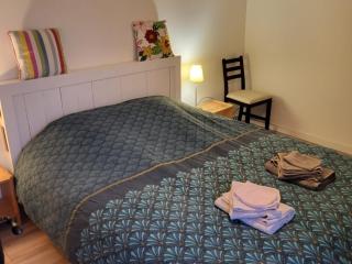 Gîte familial au cœur du parc de La Brenne avec étang privé, cheminée, Wi-Fi et animaux acceptés - FR-1-591-377 - Rosnay - 9