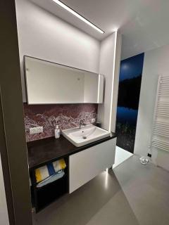 Wohnung 55m2 Top Ausstattung - Haag am Hausruck - 8
