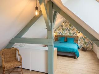 Gîte rénové avec piscine chauffée, jardin, parking et proche des châteaux de la Loire - FR-1-590-421 - Darvoy - 5