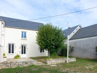 Gîte rénové avec piscine chauffée, jardin, parking et proche des châteaux de la Loire - FR-1-590-421 - Darvoy - 6