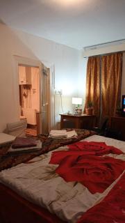 Liberty Apartment - Cluj-Napoca - 9