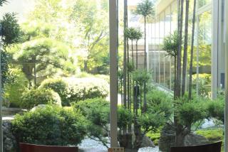 Bellevue Garden Hotel Kansai International Airport - Izumi-Sano - 3