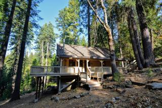 Bear Mountain - Dorrington - 9