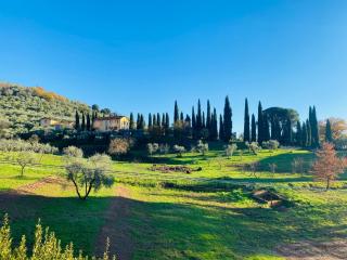 Montecatini Sunrise - Montecatini Terme - 0