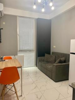 lovely and cozy apartament in Tbilisi - Tbilisi - 0