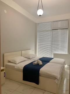 lovely and cozy apartament in Tbilisi - Tbilisi - 2