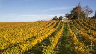 Kina Beach Cottages - 9