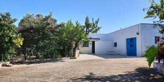 Casa Trullo Bianco: Casa Vicino - Ceglie Messapica - 5