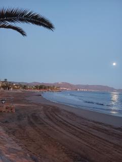 Apartamento en Puerto de Mazarrón - Puerto de Mazarrón - 3