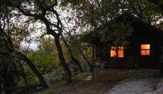 Τετραπολις Wellness Farm - - 4