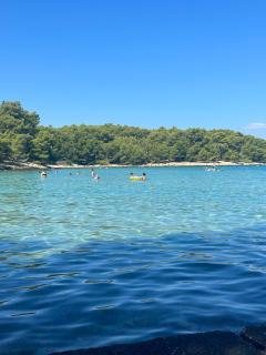 Apartman - Budva - Budua - 0