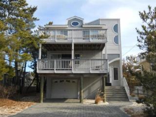 1564 Novak - Harvey Cedars - 0