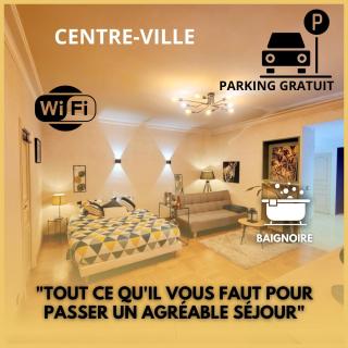 Superbe Appartement Calme et Spacieux - Graulhet - 5