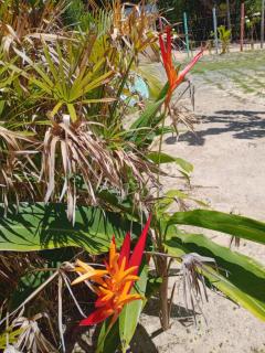 Mami Wata Casa de Praia - 3