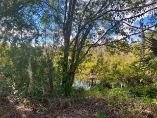 The Signature Orange Grove Suite - Lake Alfred - 2